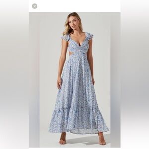 Primrose Blue Floral Maxi Dress with Ruffle Sleeves